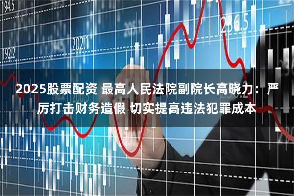 2025股票配资 最高人民法院副院长高晓力：严厉打击财务造假 切实提高违法犯罪成本