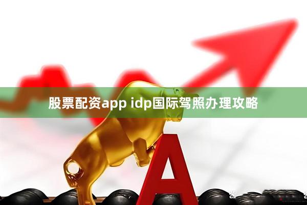 股票配资app idp国际驾照办理攻略